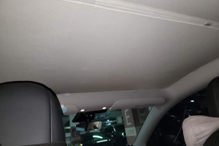 Used Tesla Model Y 2022 Long-Range All-Wheel-Drive Version Headliner