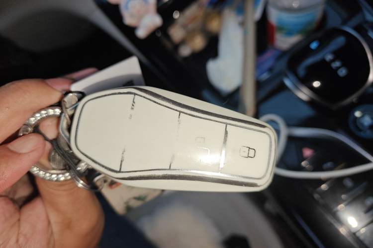 Used BYD Qin PLUS 2024 HONOR Edition DM-i 55KM Leading Model
