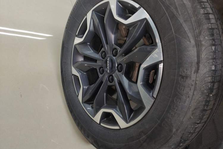 Used Haval DARGO 2024 2.0T DCT Chinese Rural Dog Edition
