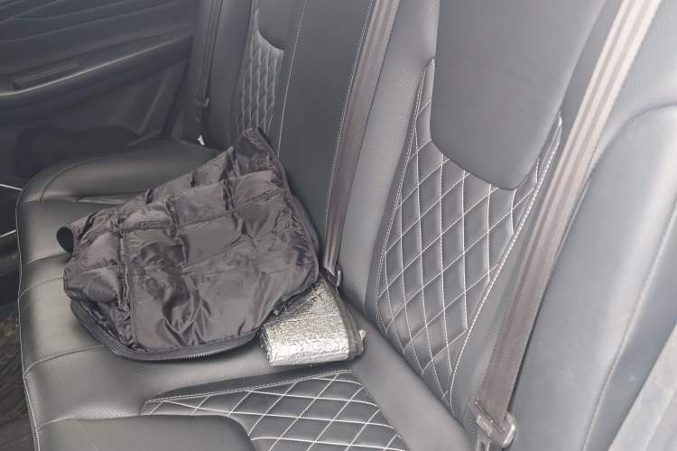 Used Chery Arrizo GX 2019 1.5T Manual New Color Version China VI Standard Left Rear Seat