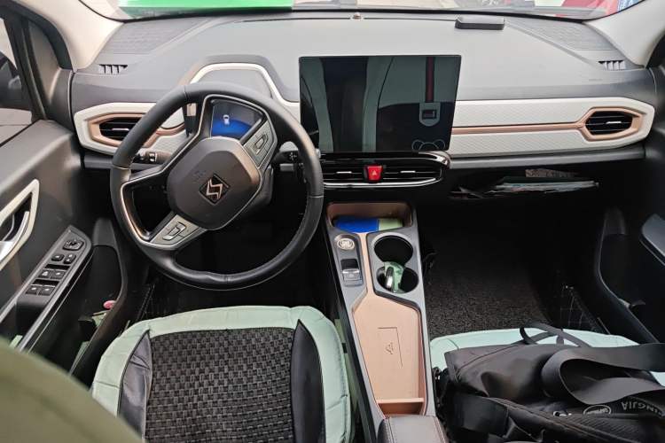 Used SOL E10X 2022 Flower Fairy Style Baby's Breath
