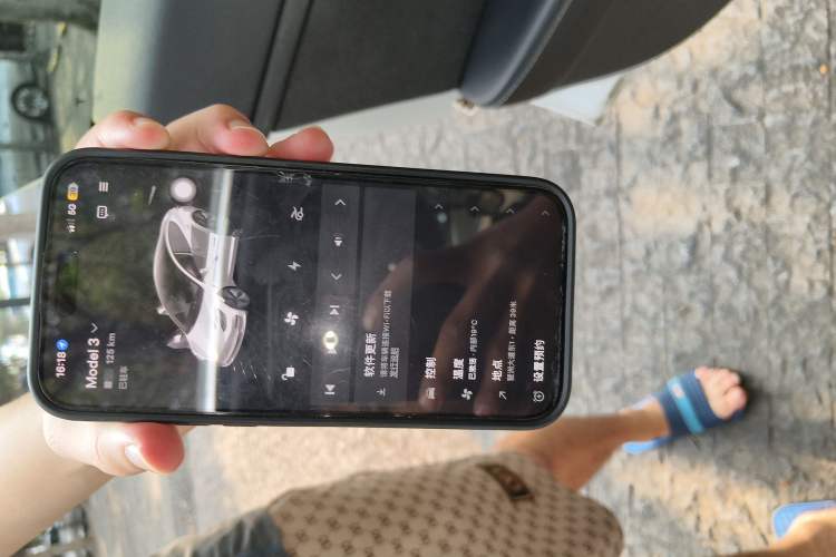 Used Tesla Model 3 2020 Standard Range Rear-Wheel Drive Upgraded Version