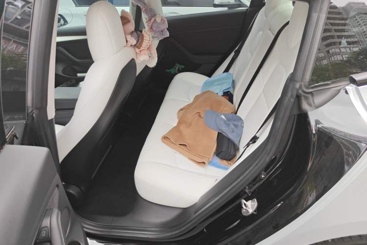 Used Tesla Model 3 2021 Performance High-Performance All-Wheel-Drive Version