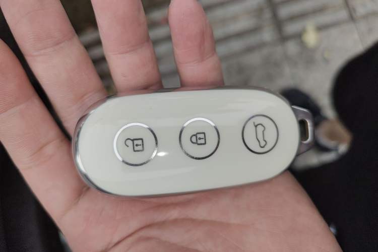 Used Li Auto L8 2024 Pro Model
