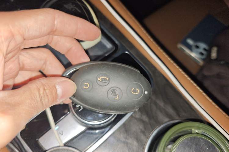 Used BYD Qin New Energy 2017 1.5T Luxury Model