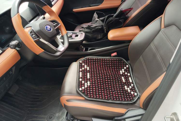 Used BYD e2 2021 Luxury Model
