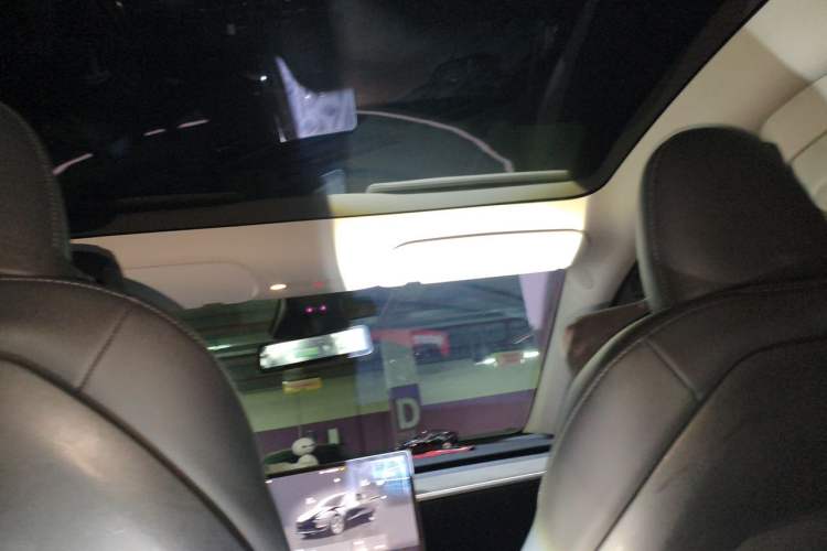 Used Tesla Model Y 2023 Rear-Wheel-Drive Version
