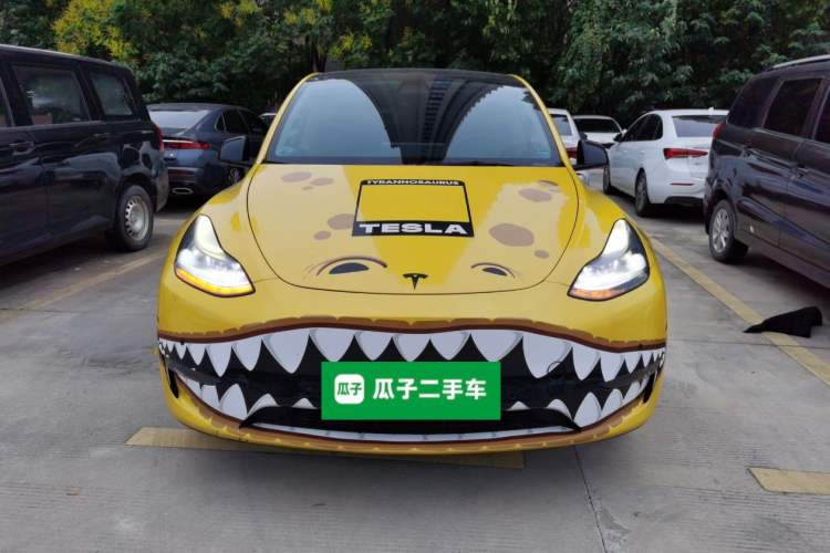 Used Tesla Model Y 2021 Standard Range Rear-Wheel Drive Version