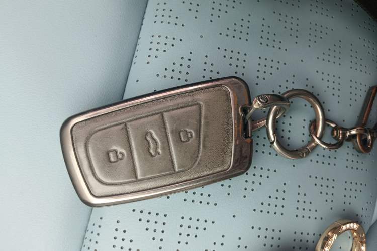 Used Chery QQ Little Ant 2023 251km True Love Edition Lithium Iron Phosphate Vehicle Key