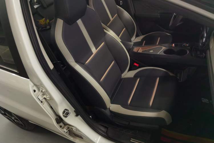 Used SOL E10X 2022 Flower Fairy Design Four-Leaf Clover
