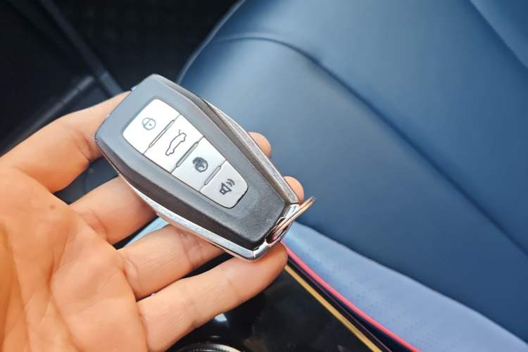 Used Geometry E Firefly 2022 401 km Linglong Tiger 4 Seats