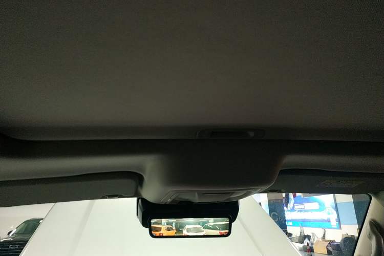 Used Tank 300 2024 2.0T Crosser
