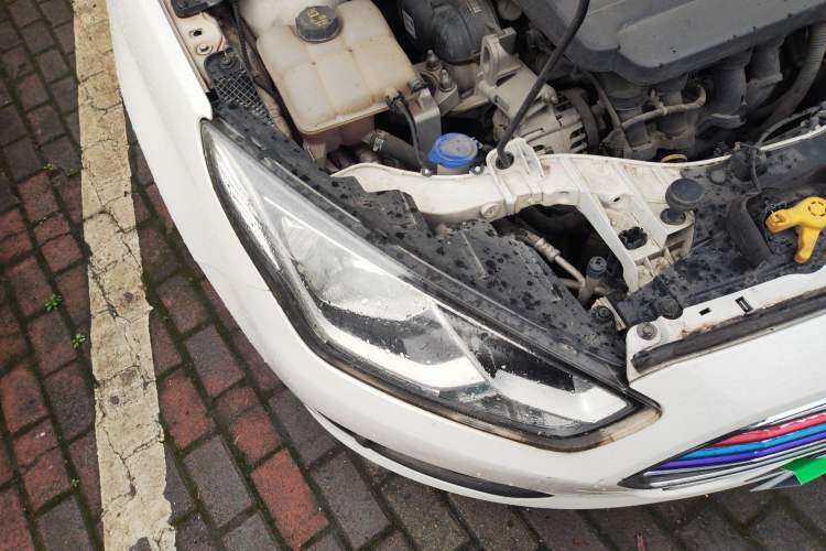 Used Ford Escort 2017 1.5L Manual Comfort Model Right Front Headlight