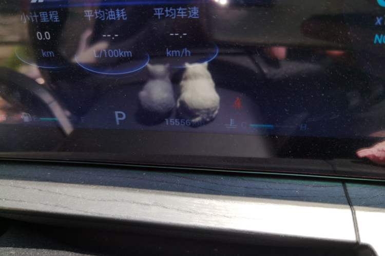 Used Chery Tiggo 8 PRO 2022 390T Two-Wheel Drive Sky Dome Edition 5 Seats
