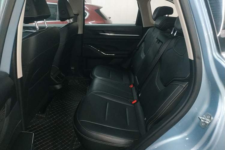 Used Haval H6 New Energy 2023 DHT-PHEV 110KM Enjoyment Edition Left Rear Seat