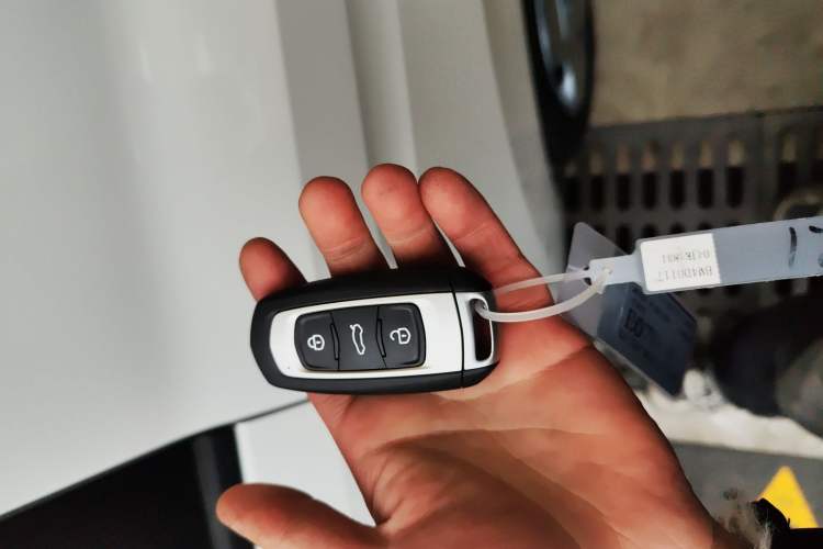 Used Geely Galaxy Panda 2024 Panda Mini 200km Endurance Bear