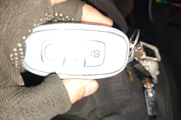 Used Hongqi E-QM5 2023 620km PLUS
