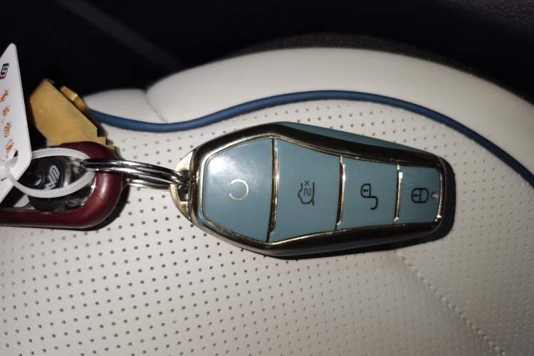 Used BYD Destroyer 05 2024 HONOR Edition DM-i 55KM Luxury Model
