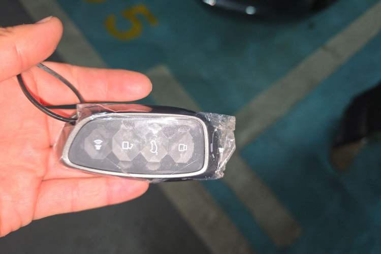 Used Haval H Dog 2026 Model 2.0T All-Wheel-Drive Trendy Wilderness Edition
