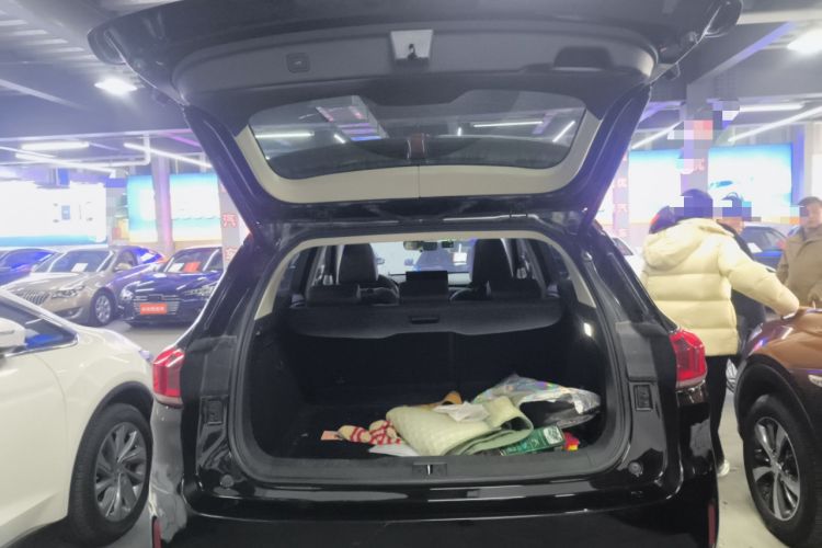 Used Wey VV6 2021 2.0T Two-Wheel Drive Smart Protection+