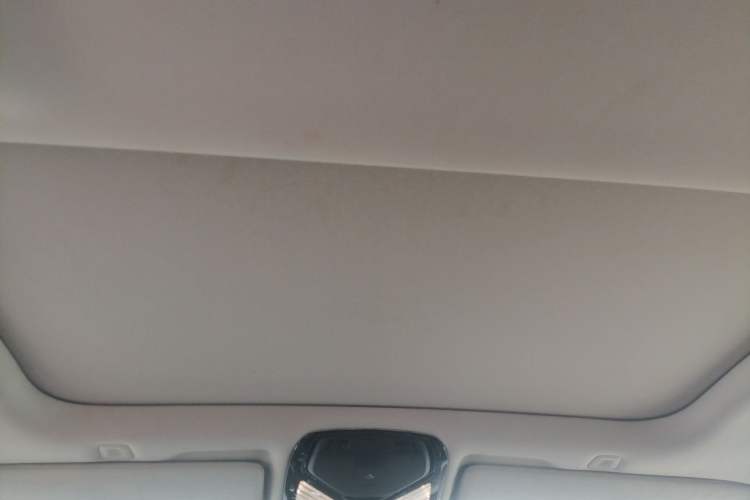 Used BMW 5 Series 2020 530Li Luxury Edition Premium Package Headliner