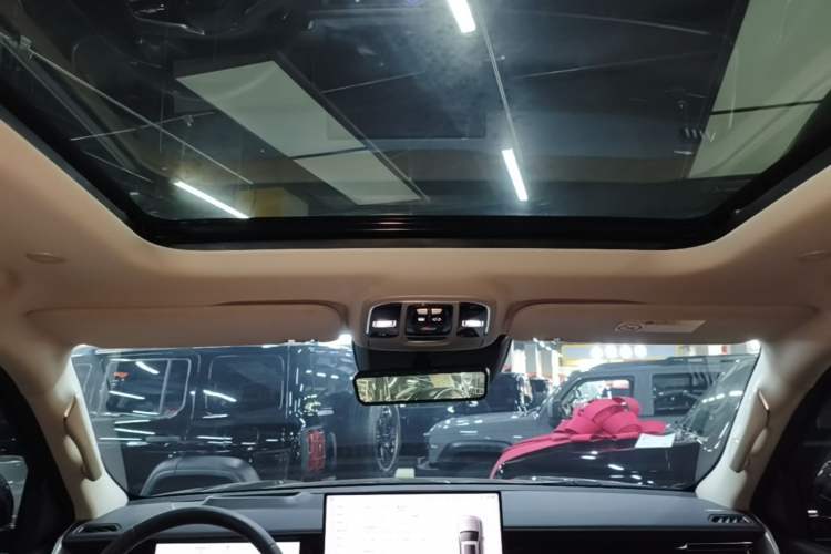 Used Tank 500 New Energy 2026 Model—Hi4-T Standard Version Headliner