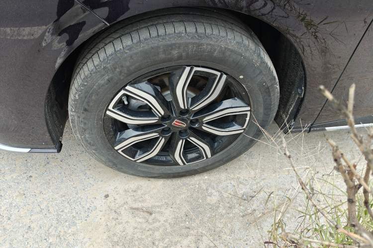 Used Hongqi HQ9 2023 2.0T Smart Connect Flagship Edition
