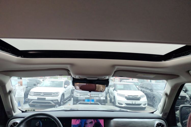 Used Tank 300 2024 2.0T Conqueror
