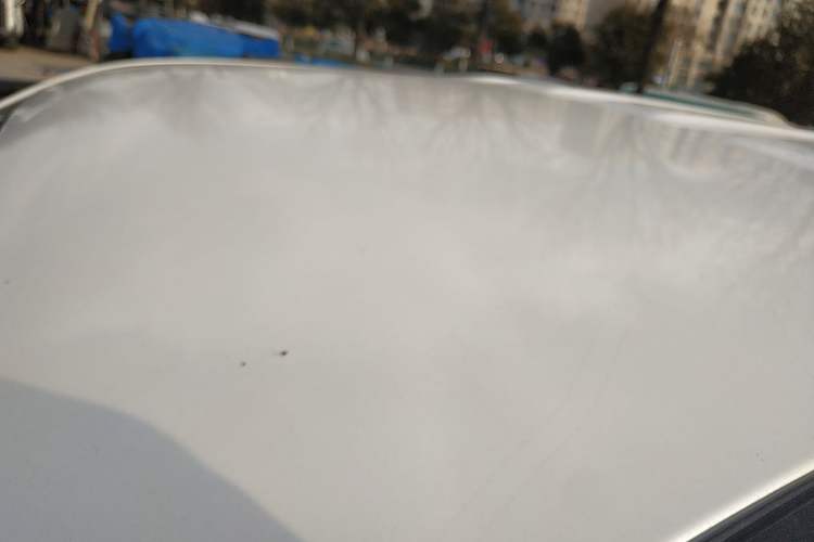 Used JMC DaDao 2024 Mountain Edition 2.3T Diesel Automatic 4x4 Standard Wheelbase Comfort Version