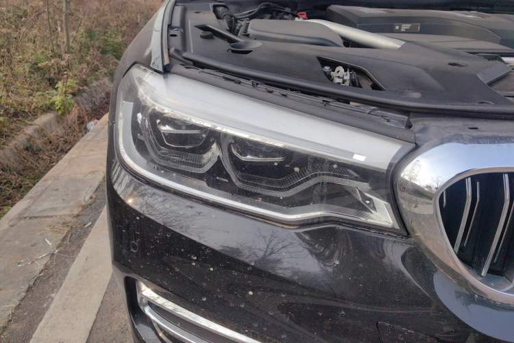 Used BMW 5 Series New Energy 2020 Mileage Upgrade Version 530Le Luxury Package
