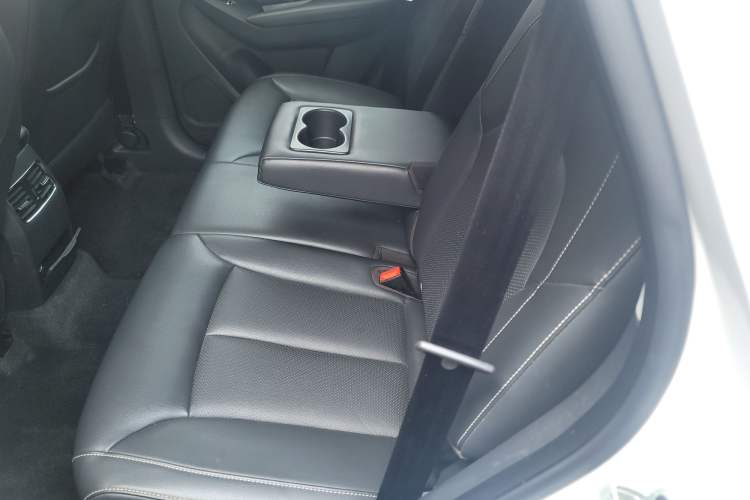 Used Roewe RX5 2019 20T Two-Wheel Drive Automatic Ali Smart Connectivity Platinum Edition Left Rear Seat