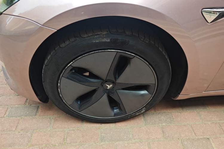 Used Tesla Model 3 2019 Long-Range All-Wheel-Drive Version
