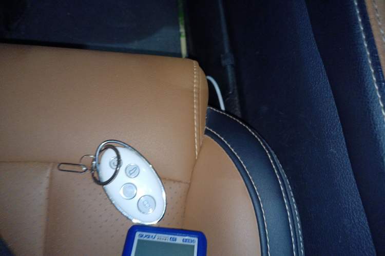 Used BYD Qin New Energy 2017 1.5T Luxury Model