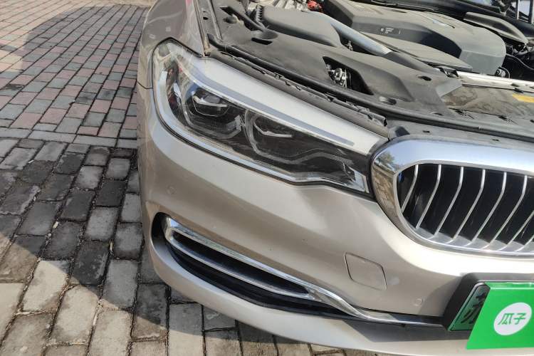 Used BMW 5 Series New Energy 2019 530Le Luxury Package
