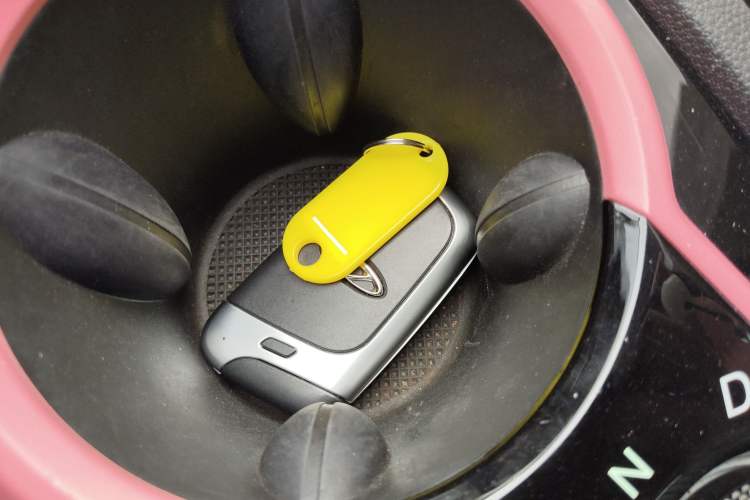 Used Chery Little Ant 2022 Sweet Pink Edition Half-Sugar Version Lithium Iron Phosphate 29.2 kWh 30 kW 301 km