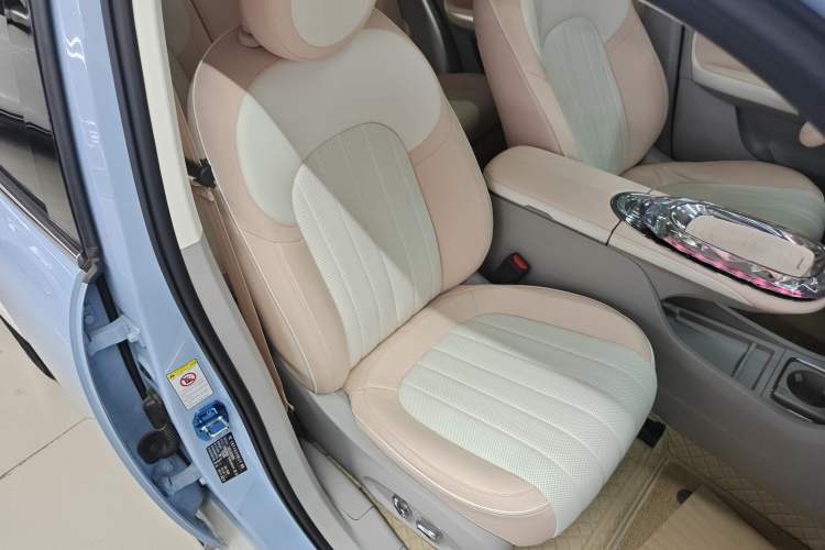 Used ORA Ballet Cat 2022 401 km Nutcracker Edition