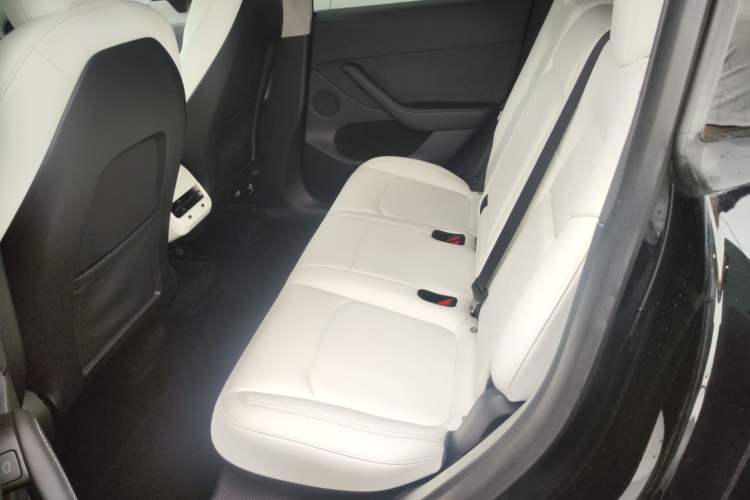 Used Tesla Model Y 2021 Standard Range Rear-Wheel Drive Version Left Rear Seat