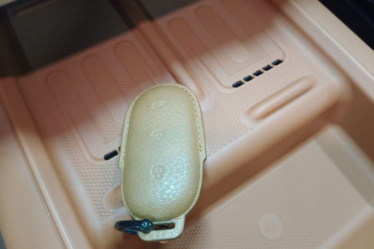 Used Li Auto L6 2024 Max
