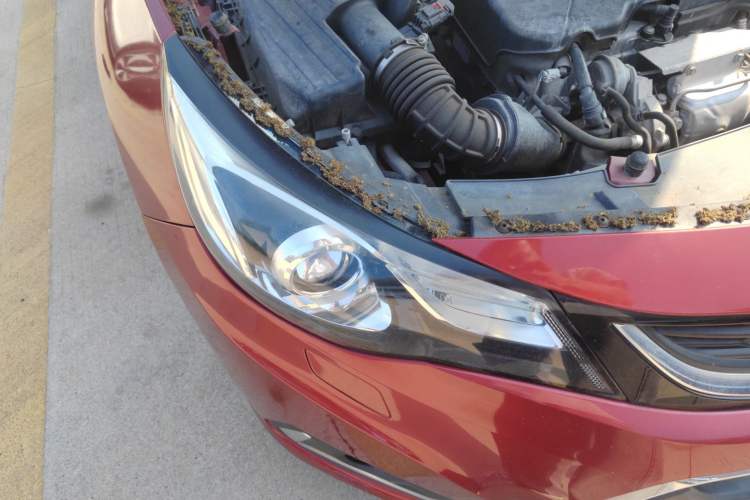 Used Chevrolet Malibu 2017 1.5T Automatic Luxury Edition