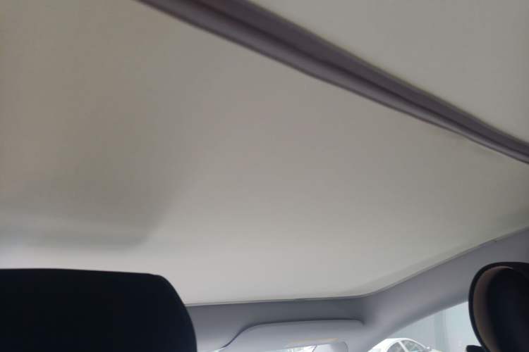 Used Tesla Model Y 2024 Rear-Wheel-Drive Version Headliner