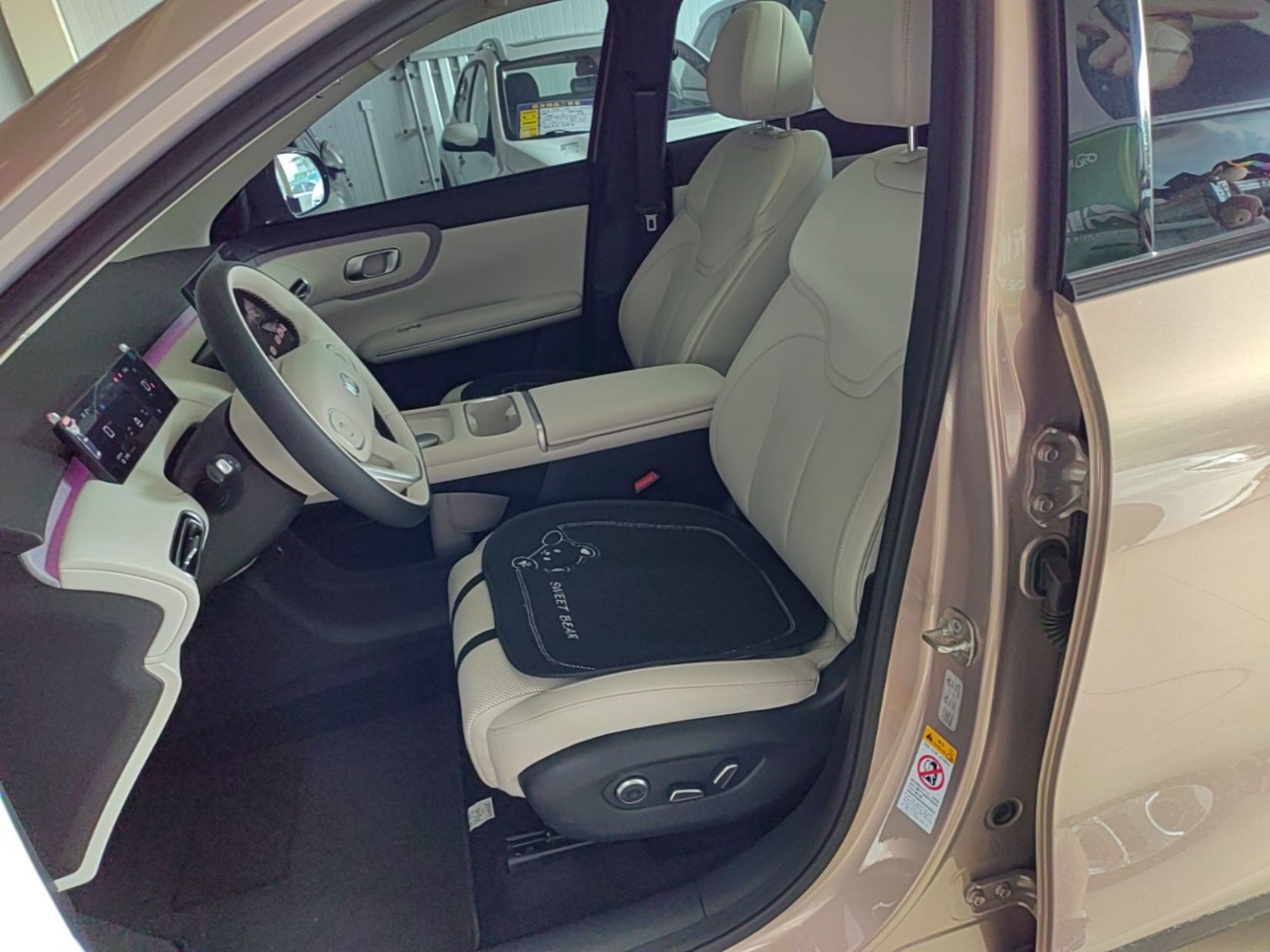 Interior delantero