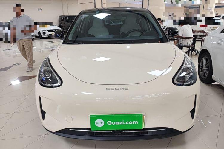 Used Geely Galaxy Geome 2025 310km Youth Edition