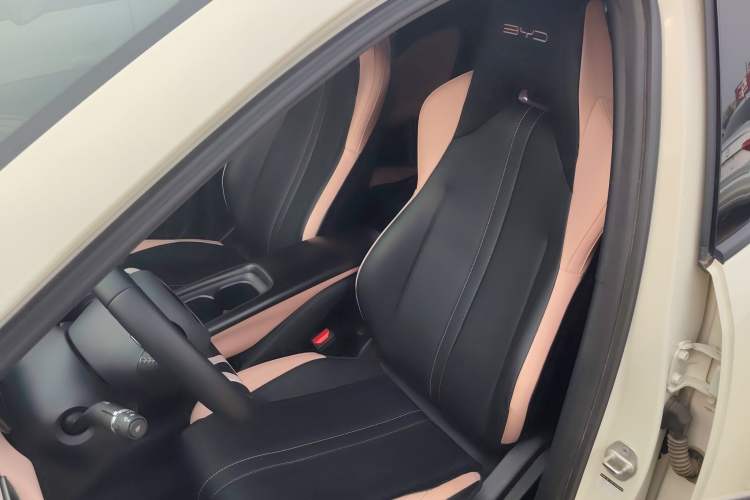 Used BYD Seagull 2023 Free Edition Left Front Seat