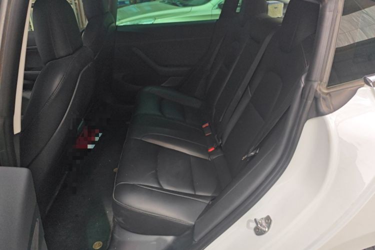 Used Tesla Model 3 2020 Standard Range Rear-Wheel Drive Upgraded Version Left Rear Seat