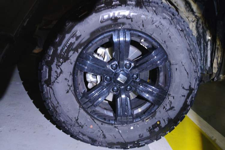 Used Tank 300 2025 2.0T Conqueror
