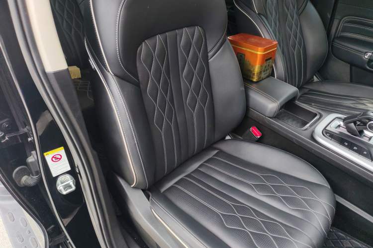 Used Tank 300 2024 2.0T Challenger
