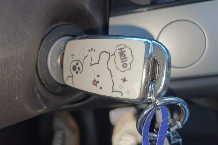 Used Qiyuan Lumin 2026 Model Treasure Edition 301km Cherished Beige Ningde