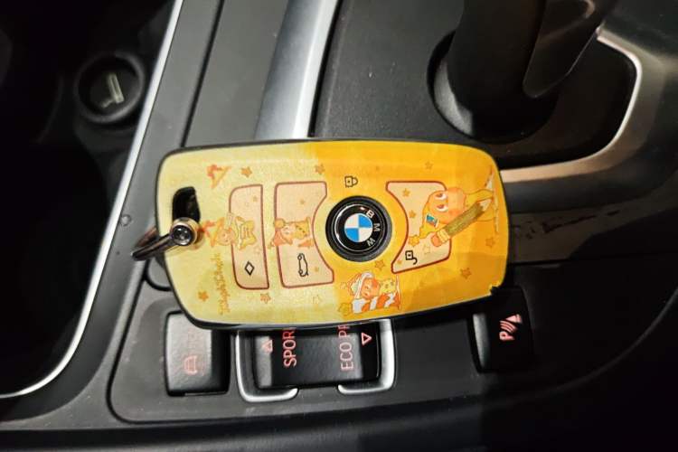 Used BMW 3 Series 2017 320Li Fashion Model Vehicle Key