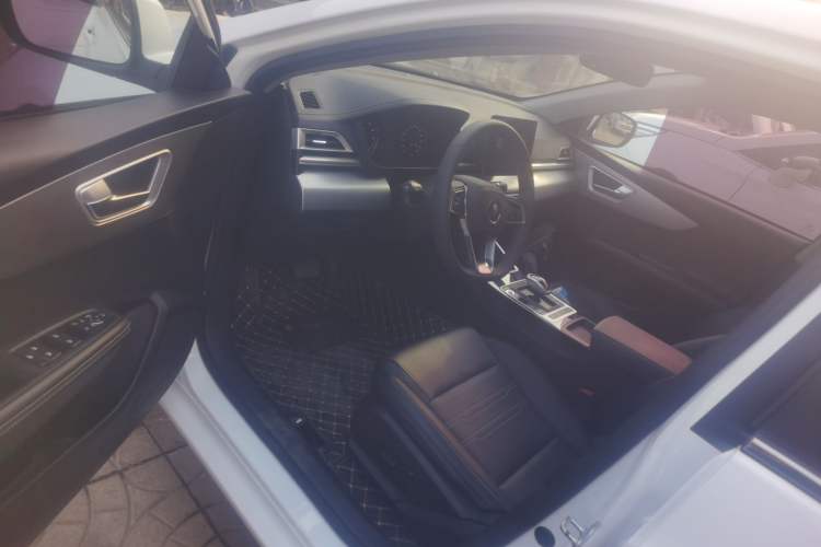 Used BYD Qin New Energy 2019 High-Range Deluxe Model Driver Seat