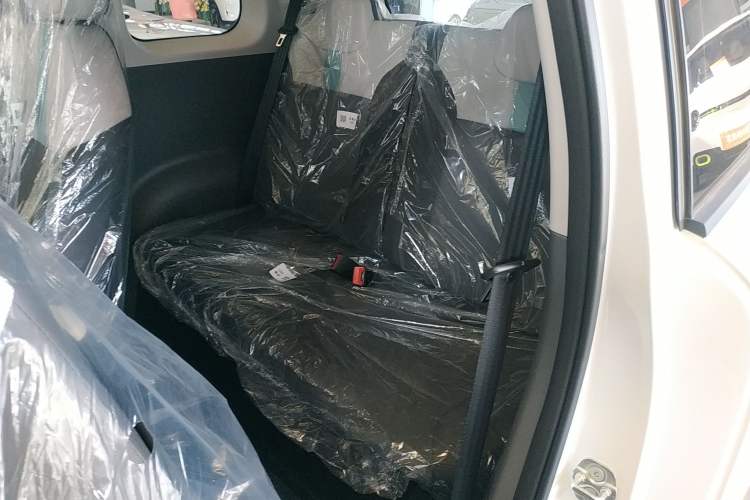 Used Qiyuan Lumin 2025 205 km Xiangqin Version
